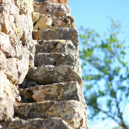 Trullo Nel Verde 1865608 Vila