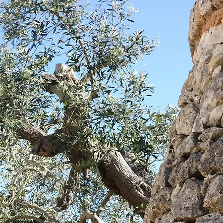 Trullo Nel Verde 1865608