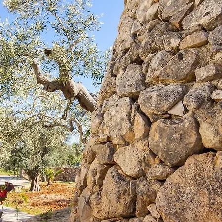 Trullo Nel Verde 1865608 *